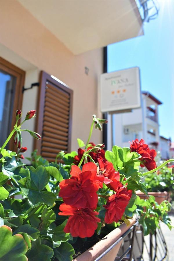 Apartments & Rooms Ivana Rovinj Quarto foto