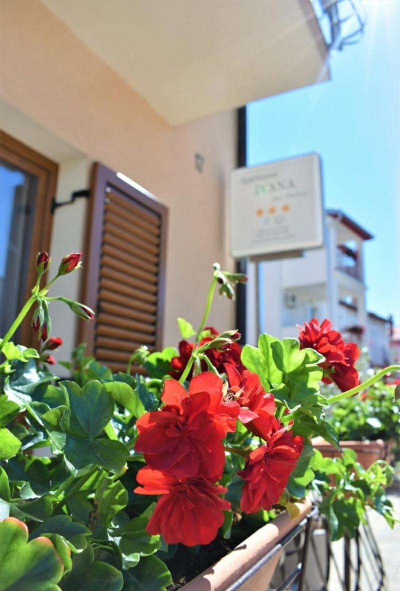Apartments & Rooms Ivana Rovinj Quarto foto